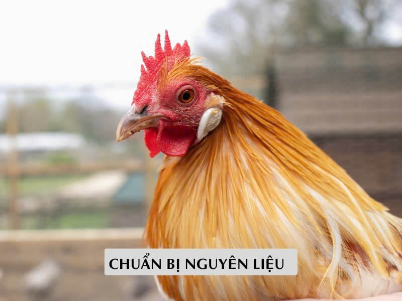 Chuẩn Bị Nguyên Liệu