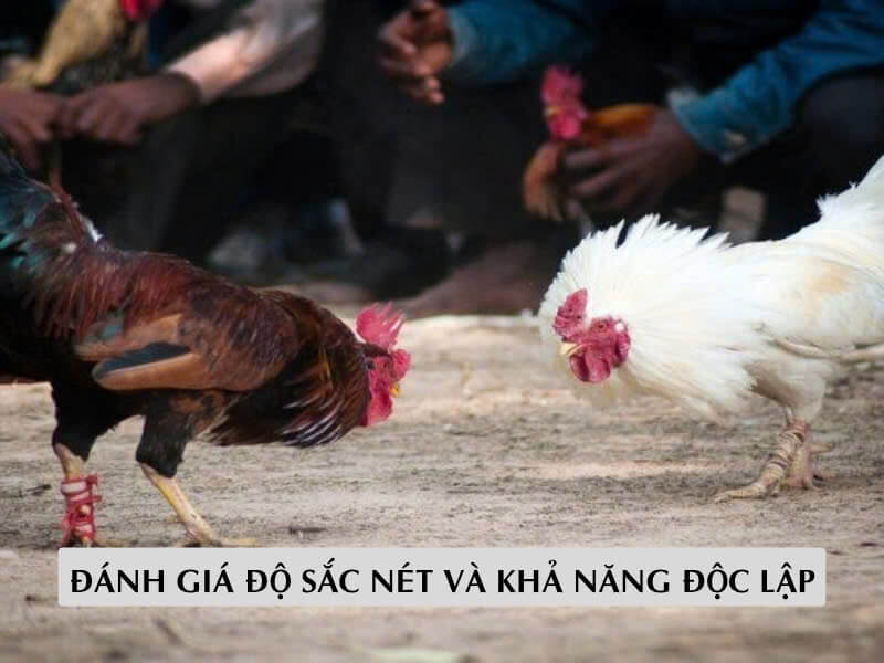 Đánh giá độ sắc nét và khả năng độc lập